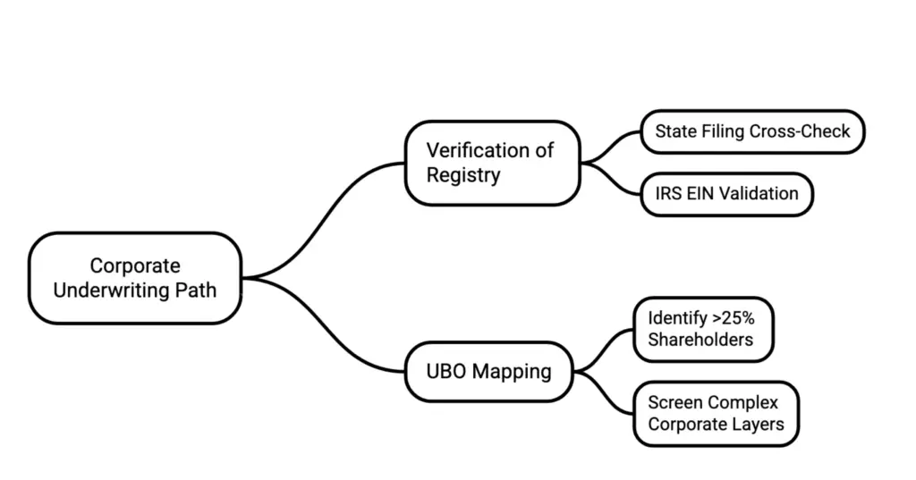 How Your Business Structure Shapes Payment Processor Approval in 2026 - CORPORATE UNDERWRITING PATH
