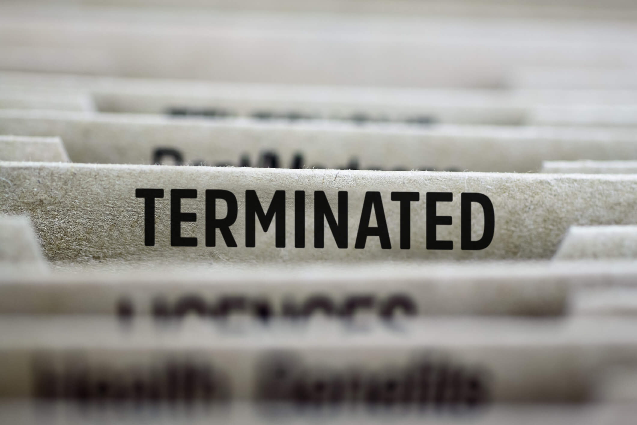 Terminated Merchant File